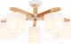 Миниатюра изображения товара Люстра Ambrella TR83118/5 WH/LW