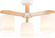 Миниатюра изображения товара Люстра Ambrella TR83112/3 WH/LW