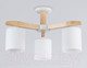 Миниатюра изображения товара Люстра Ambrella TR83112/3 WH/LW