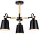 Миниатюра изображения товара Люстра Ambrella TR82206/3 BK/LWD