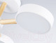 Миниатюра изображения товара Люстра Ambrella FL4821/3 WH