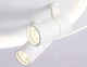 Миниатюра изображения товара Потолочный светильник Ambrella FL51391/1+2 WH