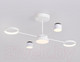 Миниатюра изображения товара Потолочный светильник Ambrella FL51631/4+1 WH