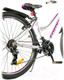 Миниатюра изображения товара Велосипед FAVORIT Sunrise-26VS / SUN26V15SL