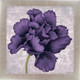 Миниатюра изображения товара Картина Декарт Фиолетовый цветок 8Л2115 (в раме)