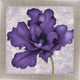 Миниатюра изображения товара Картина Декарт Фиолетовый цветок 2 8Л2116 (в раме)