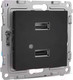 Миниатюра изображения товара Розетка Tokov Electric Pixel TKE-PX-2USB-C14 (карбон)