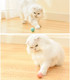 Миниатюра изображения товара Игрушка для кошек Pet Paws TBD0603310801A (розовый)