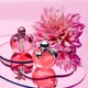 Миниатюра изображения товара Парфюмерная вода Nina Ricci Nina Illusion (30мл)