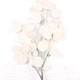 Миниатюра изображения товара Искусственная ветка GrandSiti 03442 / L51CM