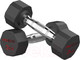 Миниатюра изображения товара Набор гантелей Proiron Обрезиненные / Г2030ОБР (2шт)
