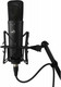 Миниатюра изображения товара Микрофон Warm Audio WA-87 R2B (черный)
