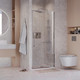 Миниатюра изображения товара Душевая дверь Niagara NG-66-9A 90x195 (хром/прозрачное стекло)