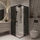Миниатюра изображения товара Душевой уголок Niagara NG-2823-34BLACK 90x90x195 (черный матовый/тонированное стекло)