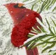 Миниатюра изображения товара Наволочка декоративная Tkano New Year Essential TK23-CU0013 (Northern cardinal)