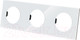 Миниатюра изображения товара Рамка для выключателей и розеток TDM Байкал / SQ1819-0004 (хрустально-белый)