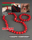 Миниатюра изображения товара Серьги Wolves Элитный Коралл 40843 №1