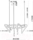 Миниатюра изображения товара Люстра Moderli True / V10690-PL