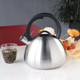 Миниатюра изображения товара Чайник со свистком Eley RWK235CH