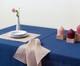 Миниатюра изображения товара Скатерть Tkano Essential TK22-TC0005 (синий)