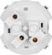 Миниатюра изображения товара Розетка TDM Байкал / SQ1819-0507 (шампань)