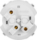 Миниатюра изображения товара Розетка TDM Байкал / SQ1819-0307 (платина)