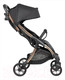 Миниатюра изображения товара Детская прогулочная коляска Farfello Sunrise / FS-002 (черный/золото)