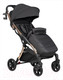 Миниатюра изображения товара Детская прогулочная коляска Farfello Sunrise / FS-002 (черный/золото)