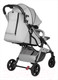 Миниатюра изображения товара Детская прогулочная коляска Farfello Sunrise / FS-003 (серый/серебристый)
