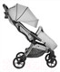 Миниатюра изображения товара Детская прогулочная коляска Farfello Sunrise / FS-003 (серый/серебристый)