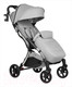 Миниатюра изображения товара Детская прогулочная коляска Farfello Sunrise / FS-003 (серый/серебристый)