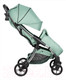 Миниатюра изображения товара Детская прогулочная коляска Farfello Sunrise / FS-005 (мятный/серебристый)