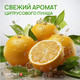 Миниатюра изображения товара Средство для мытья посуды Septivit Цитрусовый пунш (5л)