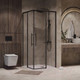 Миниатюра изображения товара Душевой уголок Niagara NG-6829-34BLACK 90x90x195 (черный матовый/прозрачное стекло)