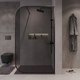 Миниатюра изображения товара Душевая стенка Niagara NG-689-10TBLACK 100x200 (черный матовый/тонированное стекло)