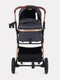 Миниатюра изображения товара Детская универсальная коляска Rant Basic Pulsar Gold 2 в 1 / RA160  (Grey)