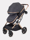 Миниатюра изображения товара Детская универсальная коляска Rant Basic Pulsar Gold 2 в 1 / RA160  (Grey)