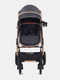 Миниатюра изображения товара Детская универсальная коляска Rant Basic Pulsar Gold 2 в 1 / RA160  (Grey)