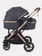 Миниатюра изображения товара Детская универсальная коляска Rant Basic Pulsar Gold 2 в 1 / RA160  (Grey)
