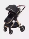 Миниатюра изображения товара Детская универсальная коляска Rant Basic Roller Gold 2 в 1 / RA161  (Black)