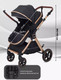 Миниатюра изображения товара Детская универсальная коляска Rant Basic Roller Gold 2 в 1 / RA161  (Black)