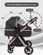 Миниатюра изображения товара Детская универсальная коляска Rant Basic Roller Gold 2 в 1 / RA161  (Black)
