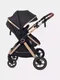 Миниатюра изображения товара Детская универсальная коляска Rant Basic Roller Gold 2 в 1 / RA161  (Black)