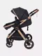 Миниатюра изображения товара Детская универсальная коляска Rant Basic Roller Gold 2 в 1 / RA161  (Black)