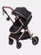Миниатюра изображения товара Детская универсальная коляска Rant Basic Roller Gold 2 в 1 / RA161  (Black)