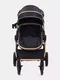 Миниатюра изображения товара Детская универсальная коляска Rant Basic Roller Gold 2 в 1 / RA161  (Black)