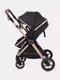Миниатюра изображения товара Детская универсальная коляска Rant Basic Roller Gold 2 в 1 / RA161  (Black)