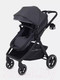 Миниатюра изображения товара Детская универсальная коляска Rant Basic Roller 2 в 1 / RA161  (Grey)