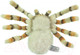 Миниатюра изображения товара Мягкая игрушка Hansa Сreation Паук скакун / 6556