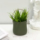 Миниатюра изображения товара Искусственное растение Bir Numara EVA5764